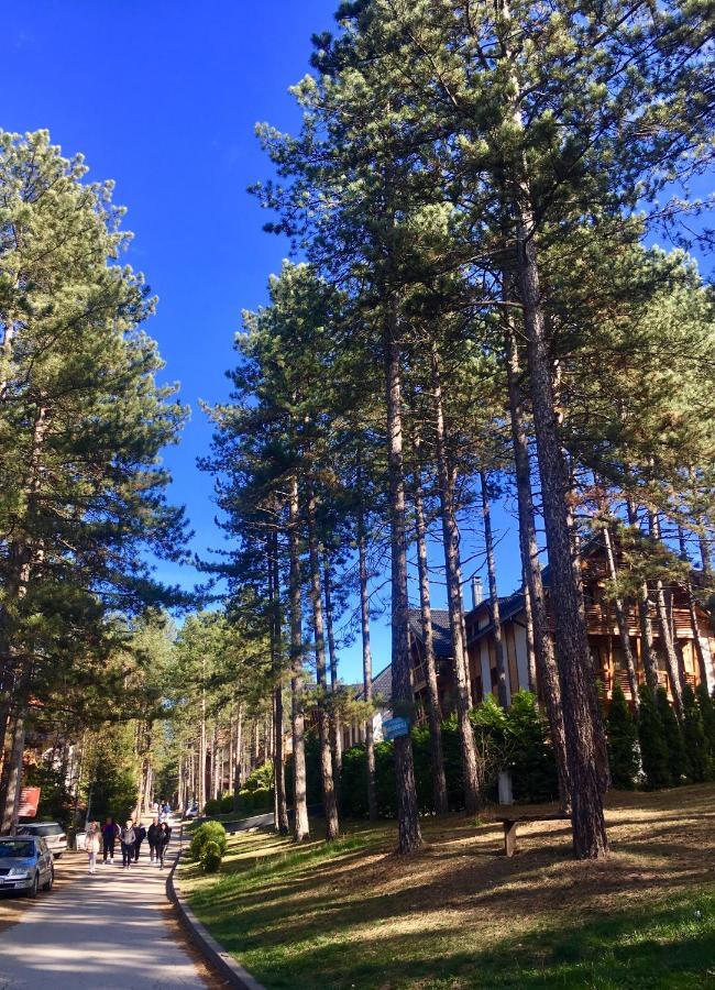 Apartment Erak Hill Ζλάτιμπορ Εξωτερικό φωτογραφία